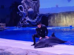 -华夏文旅西安度假区