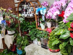 -何兮花店·气球派对鲜花店(马桥银春路万科城店)