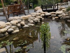 -太白山御龙湾温泉
