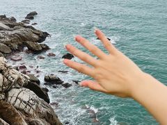 -广东惠东海龟国家级自然保护区