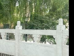 -白洋淀风景区