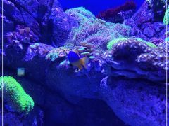 -成都浩海立方海洋公园