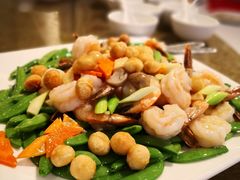 -同乐轩港式早茶