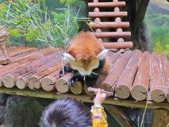 -海合安成都极地海洋公园