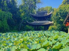 -三苏祠