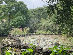 -海南热带野生动植物园