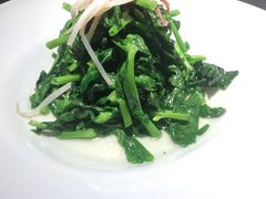 火丝银芽豆苗-江南雅厨(李公堤店)