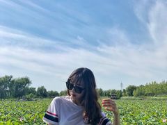 -羊亭河湿地公园