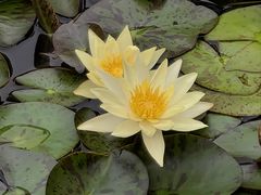 -国家植物园南园