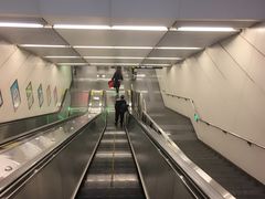 -大望路(地铁站)