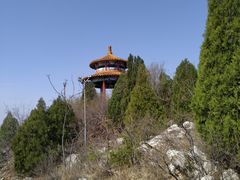 -府君山公园