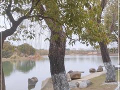-东方绿舟景区