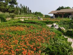 -长岛南北长山旅游景区