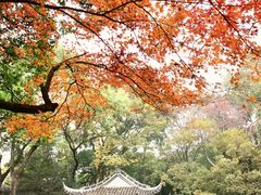 -绮园景区