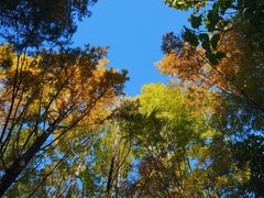 -才村湿地公园