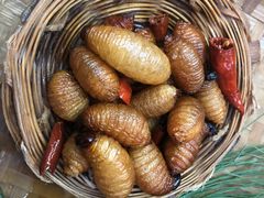 -昆虫窝子·特色云南菜(拓东路总店)