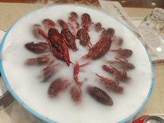 -杨氏青龙虾·羊蝎子(珠江路店)