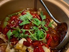 -皇朝会.经典传统粤菜(外滩店)