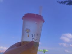 -玫瑰海岸文化旅游度假区