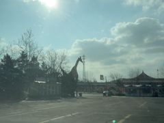 -西霞口神雕山野生动物世界