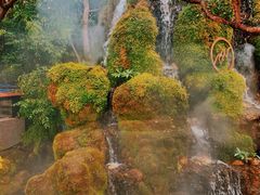 -Chom Cafe and Restaurant