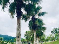 -白石龙音乐公园