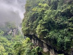 -鹿院坪生态旅游景区