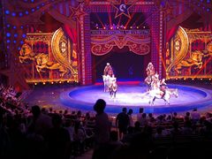 -珠海横琴长隆《卡卡虎奇遇记》