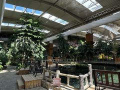 -南宫五洲植物乐园