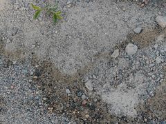 餐具摆设-人民广场