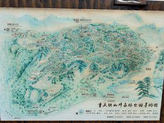 -铁山坪森林公园