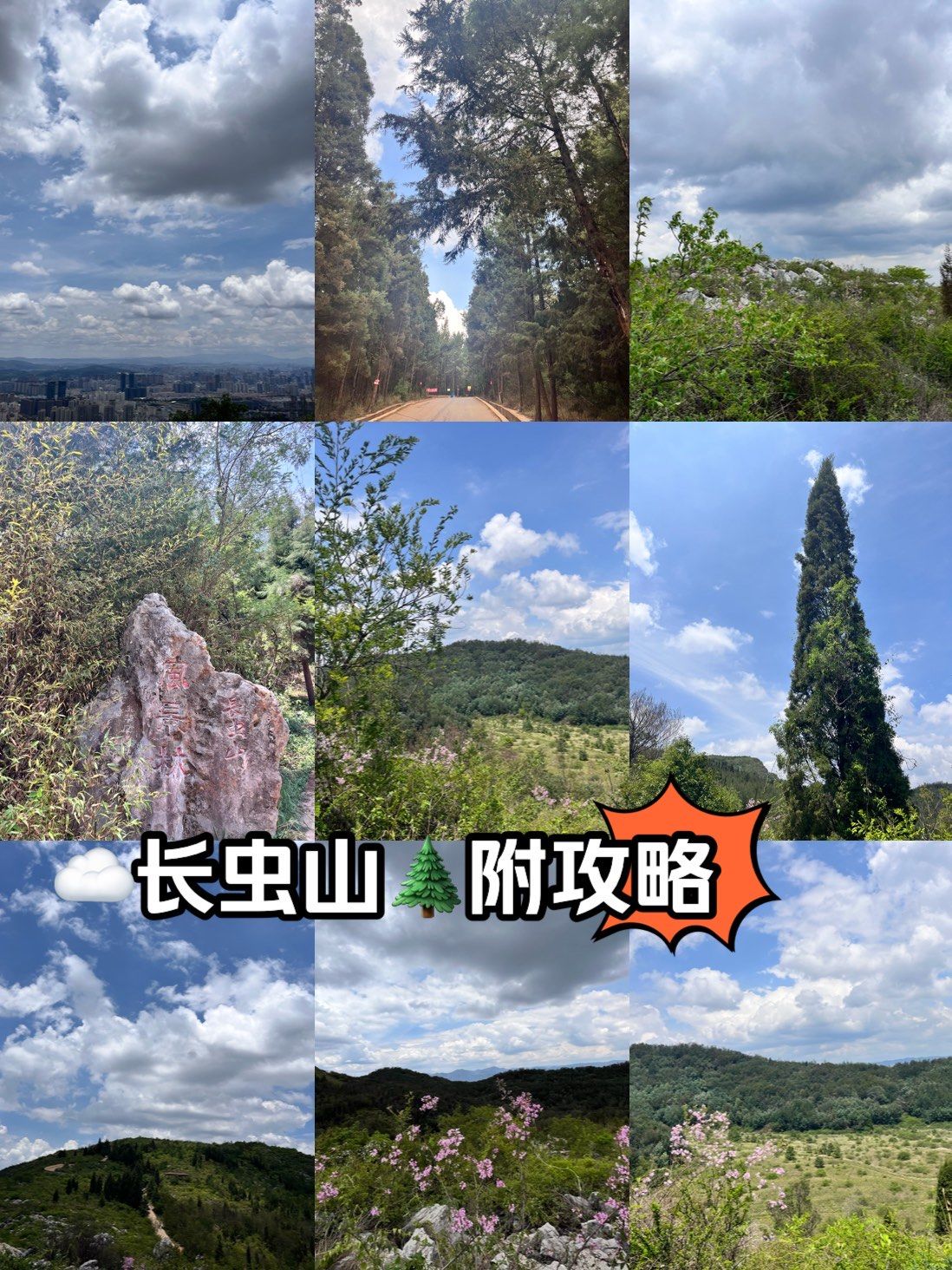 左滑👈🏻赏昆明长虫山生态公园的登高风光⛰️