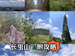 -长虫山生态公园风景林