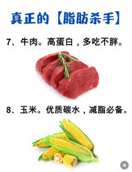 -Fundi张玉珊修身堂·indiba·BTL科技瘦身
