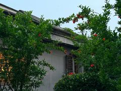 -正阳书局(西四南大街店)