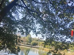 -南沙蒲洲花园