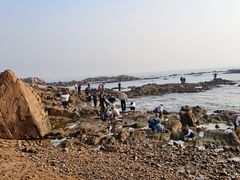 -青岛第二海水浴场