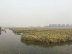 -白洋淀景区