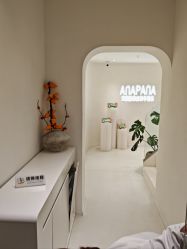 -安那般那皮肤年轻化ANAPANA