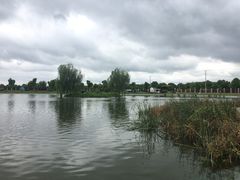 -明珠湖天鹅苑·农家菜馆