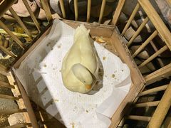 -馬蘭花開(车站大道店)