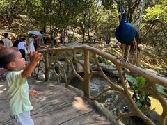 -泉州海丝野生动物世界