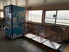 -武汉关码头(轮渡站)