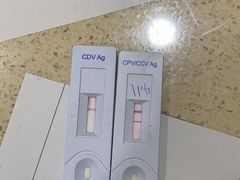 -爱派特动物医院·全科诊疗中心