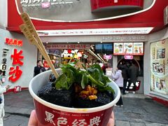 -黑色经典臭豆腐·湖南特产(坡子街店)