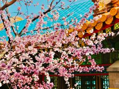 -颐和园