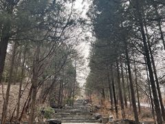 -周口店北京人遗址公园