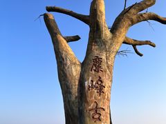 -长沙黑麋峰国家森林公园