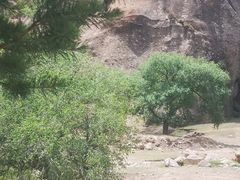-克什克腾世界地质公园青山景区