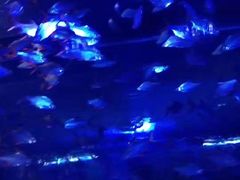 -石林冰雪海洋世界